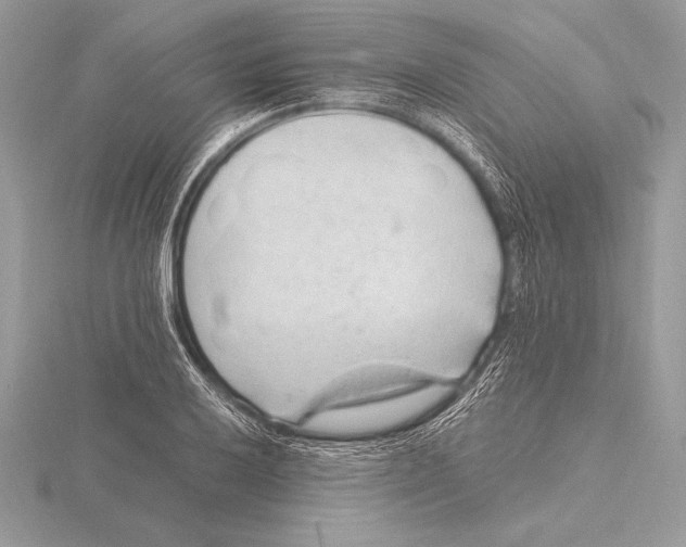 X0000115801032200912111205