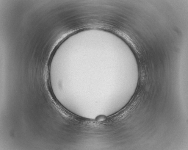 X0000115801040200912111205