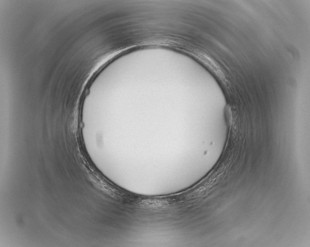 X0000115801044200912111205