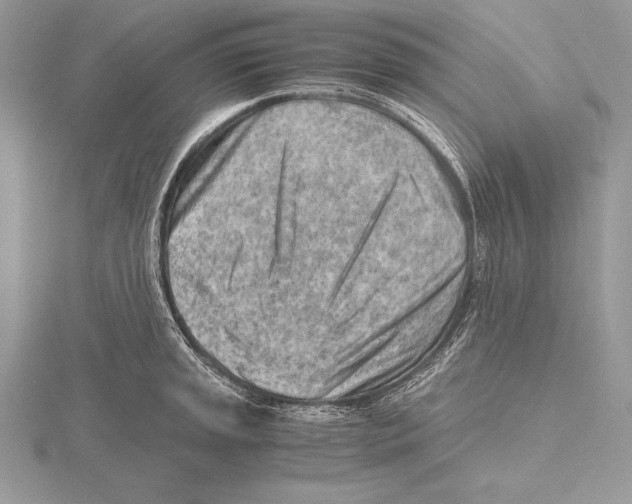 X0000115801045200912111205