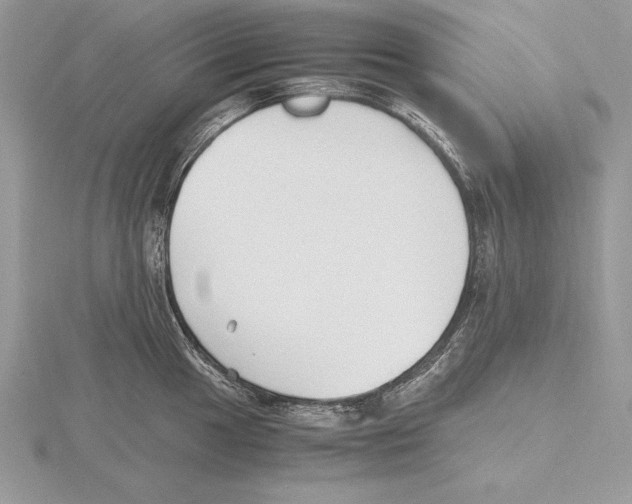 X0000115801049200912111205