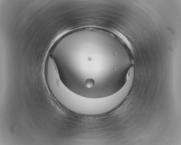 X0000115801051200912111205