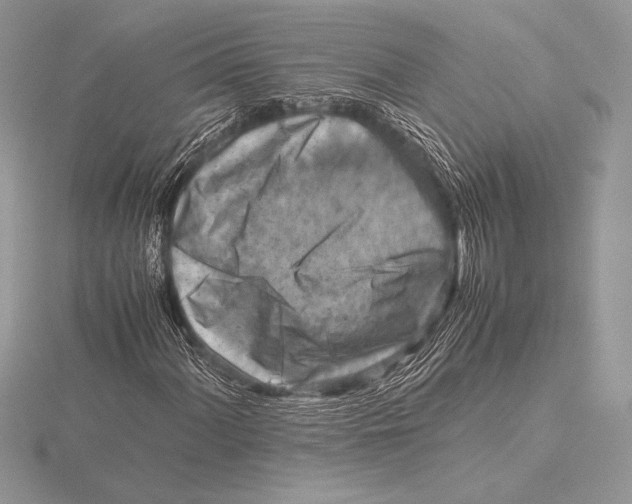 X0000115801060200912111205