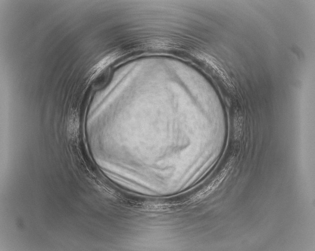 X0000115801065200912111205