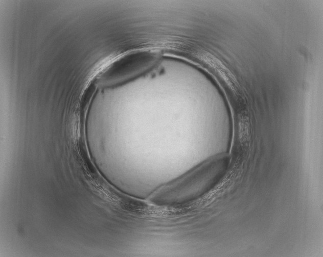 X0000115801069200912111205