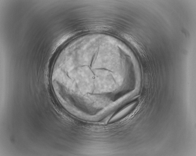 X0000115801071200912111205