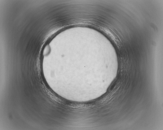 X0000115801072200912111205