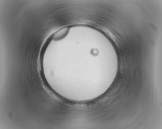 X0000115801080200912111204