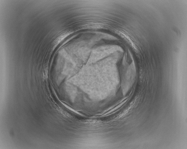 X0000115801081200912111204