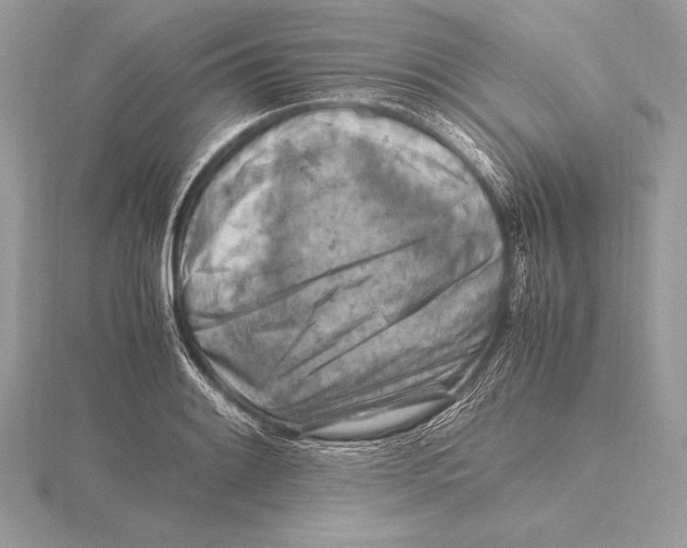 X0000115801084200912111204