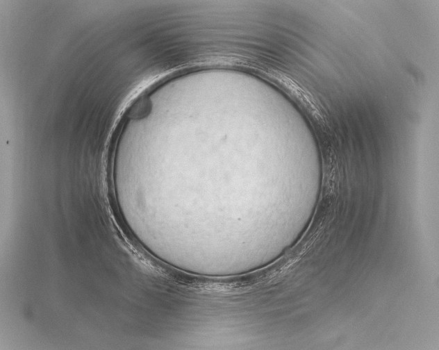 X0000115801086200912111204