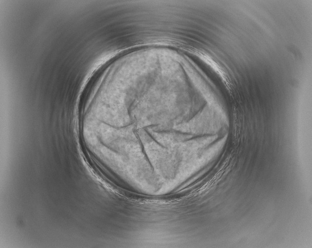 X0000115801088200912111204