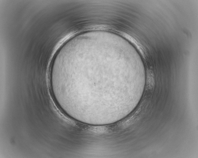 X0000115801090200912111204