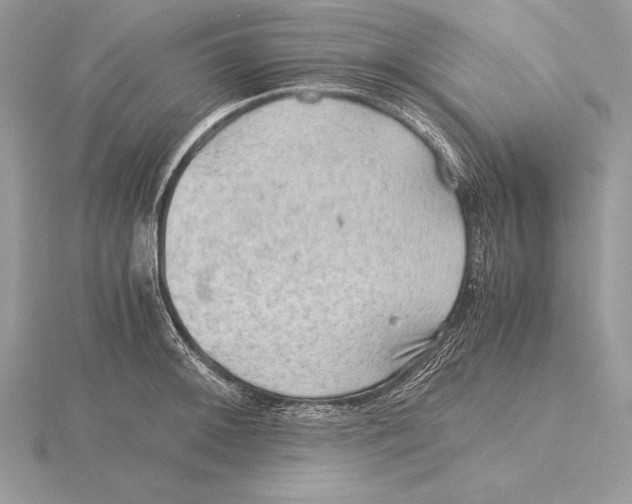 X0000115801092200912111204