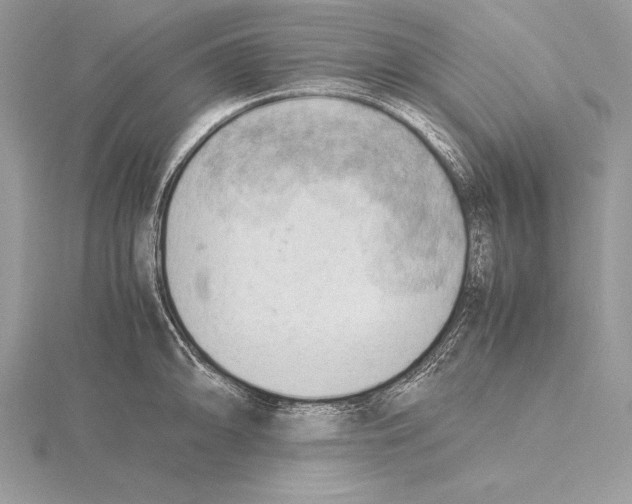 X0000115801094200912111204