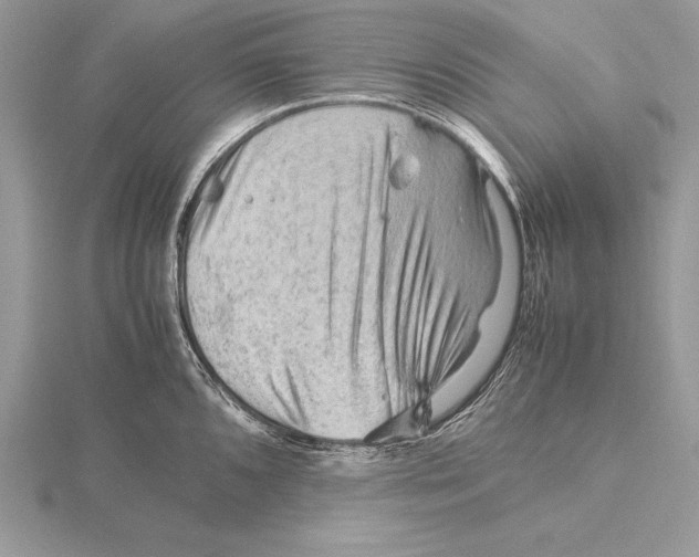 X0000115801096200912111204