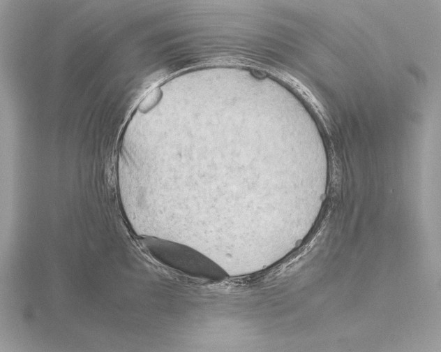 X0000115801097200912111204