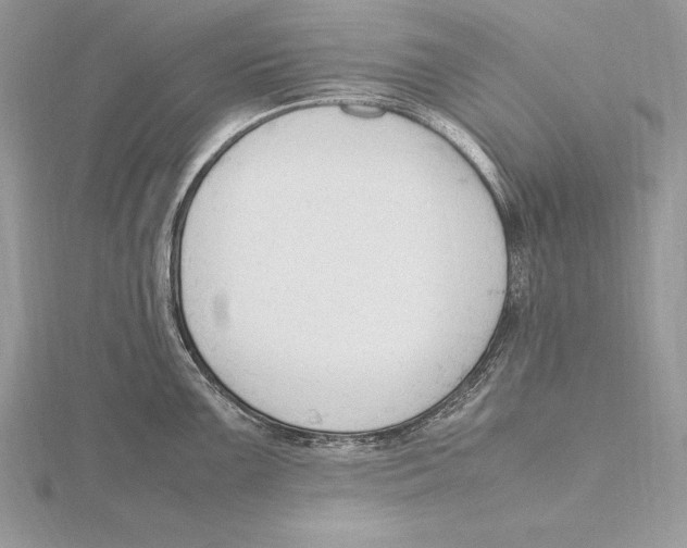 X0000115801099200912111204