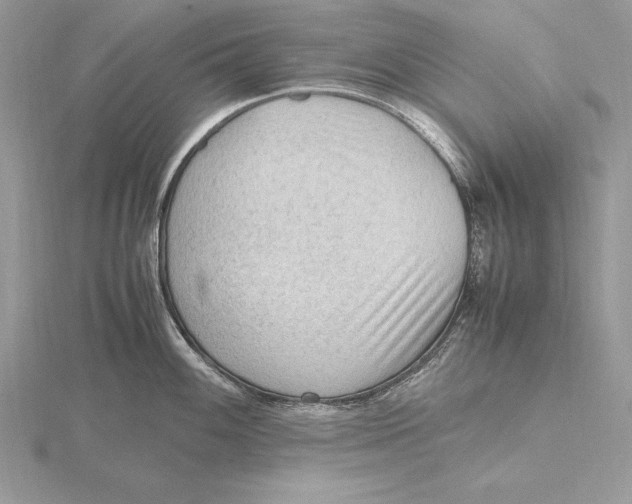 X0000115801100200912111204