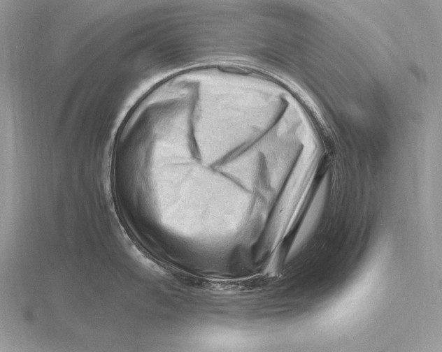 X0000115801102200912111204