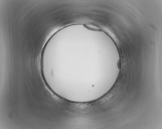 X0000115801103200912111204