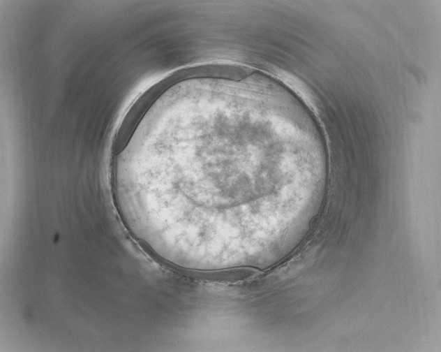 X0000115801104200912111204