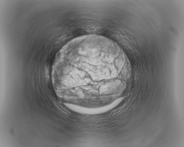 X0000115801106200912111204