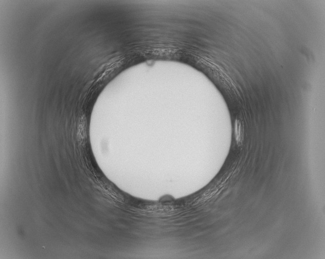 X0000115801107200912111204