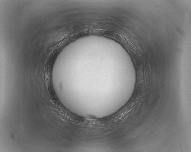 X0000115801109200912111204