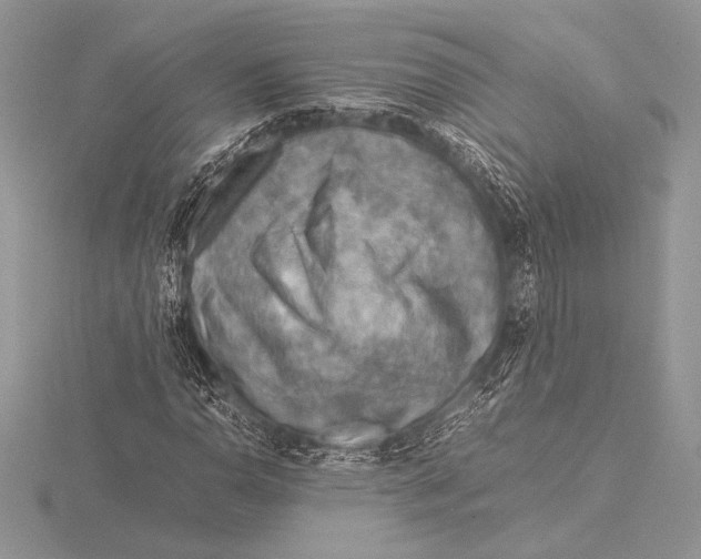 X0000115801110200912111204