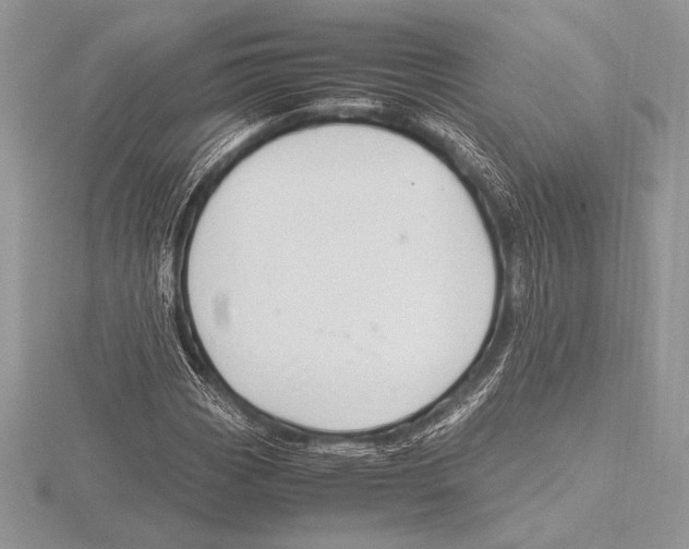 X0000115801113200912111204