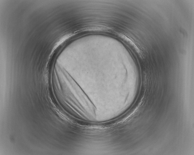 X0000115801114200912111204