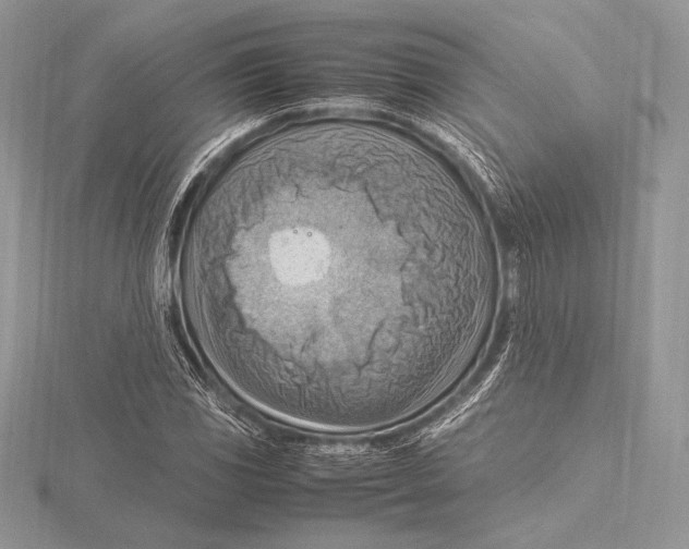 X0000115801117200912111204