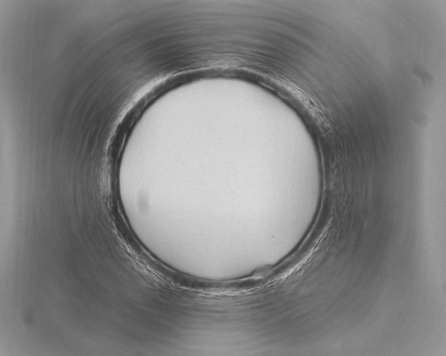 X0000115801118200912111204