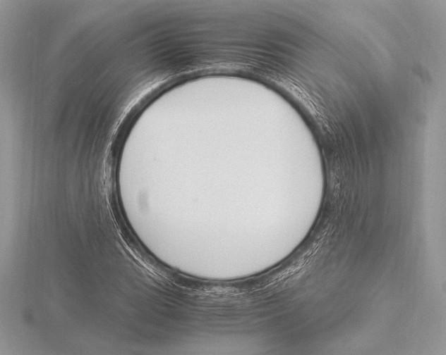 X0000115801119200912111204