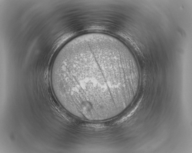 X0000115801121200912111204