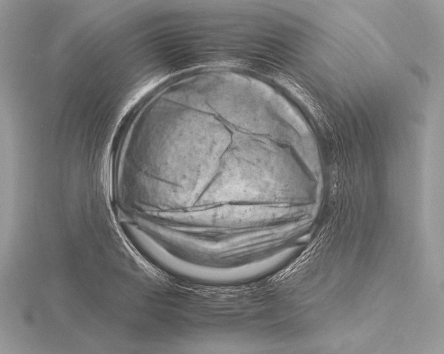 X0000115801127200912111204