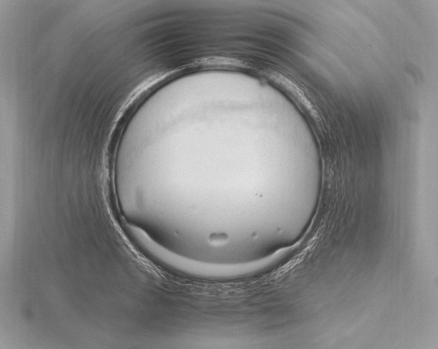 X0000115801133200912111204