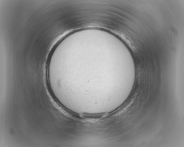 X0000115801134200912111204