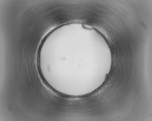 X0000115801135200912111204