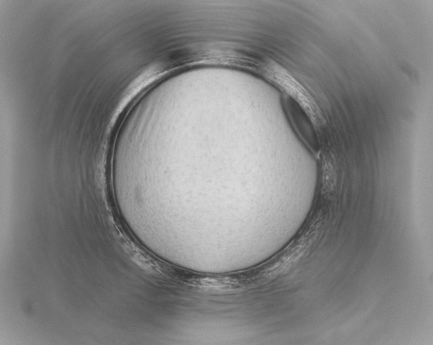 X0000115801138200912111204