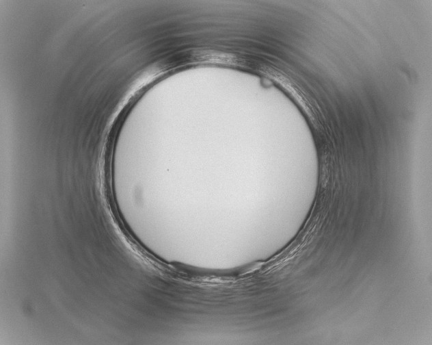 X0000115801139200912111204