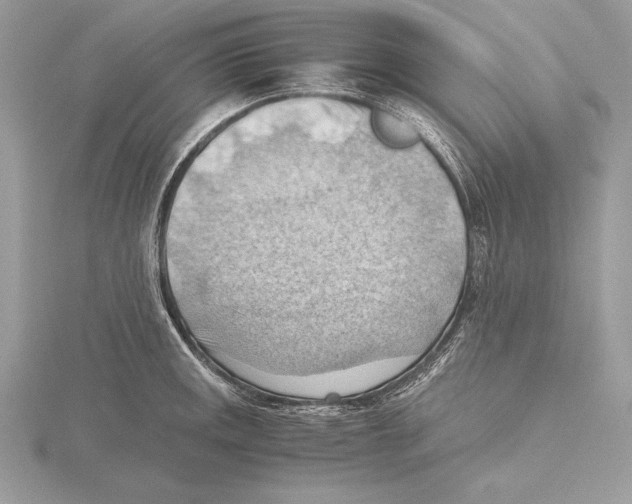 X0000115801141200912111204