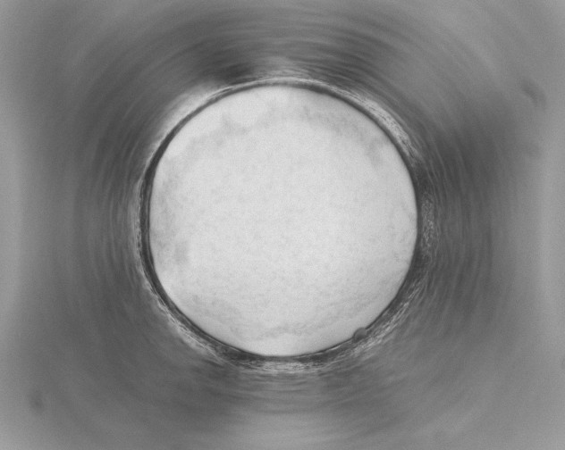 X0000115801142200912111204