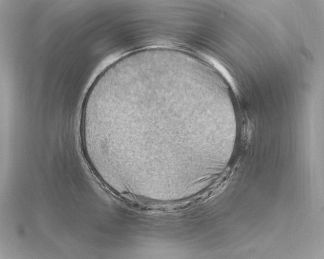 X0000115801146200912111204