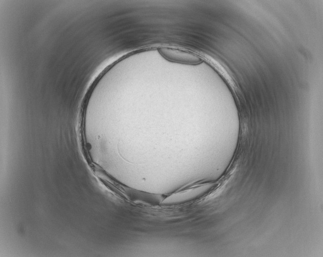 X0000115801149200912111204