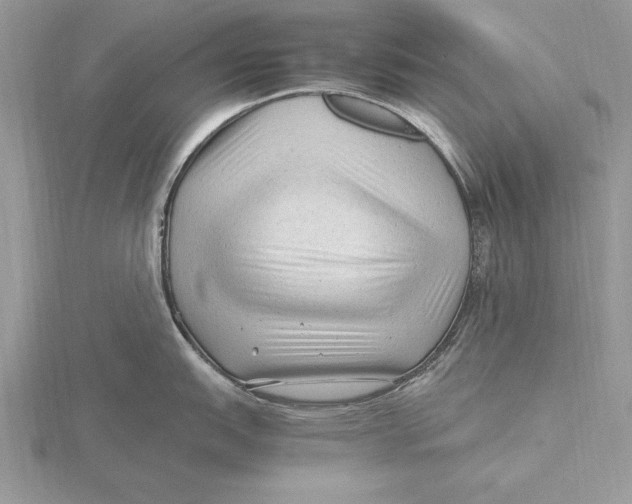 X0000115801151200912111204