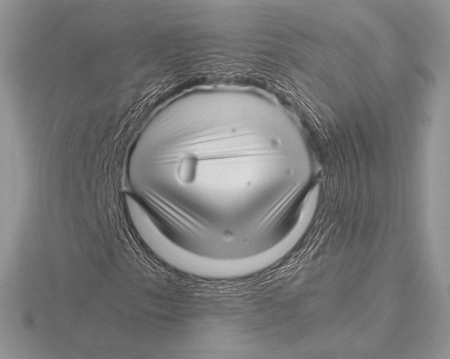 X0000115801153200912111203