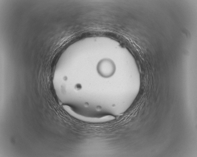 X0000115801157200912111203