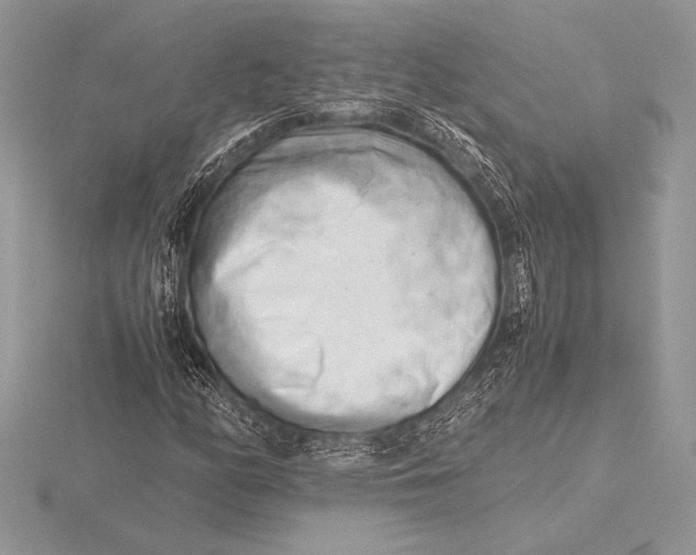 X0000115801158200912111203